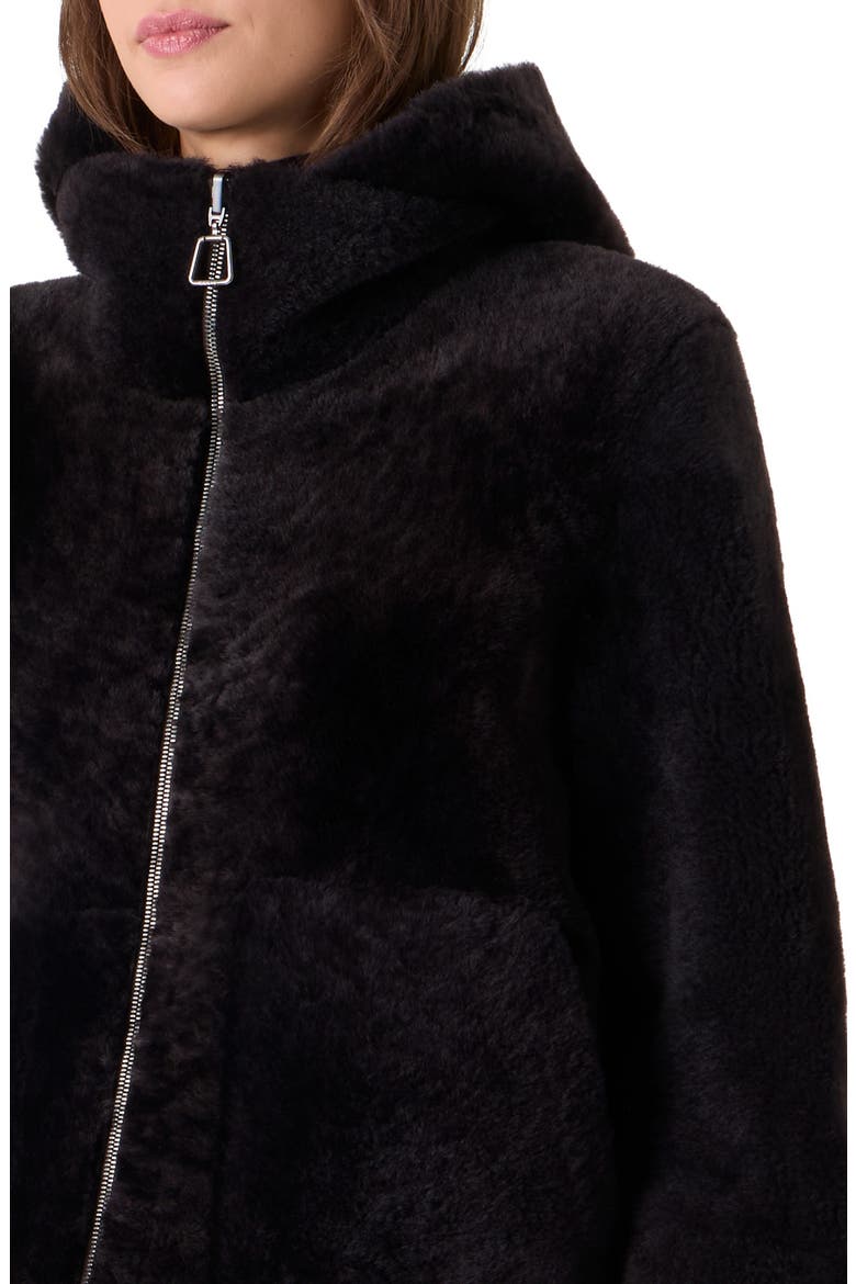 Dino Reversible Genuine Shearling Jacket, Alternate, color, COFFEE