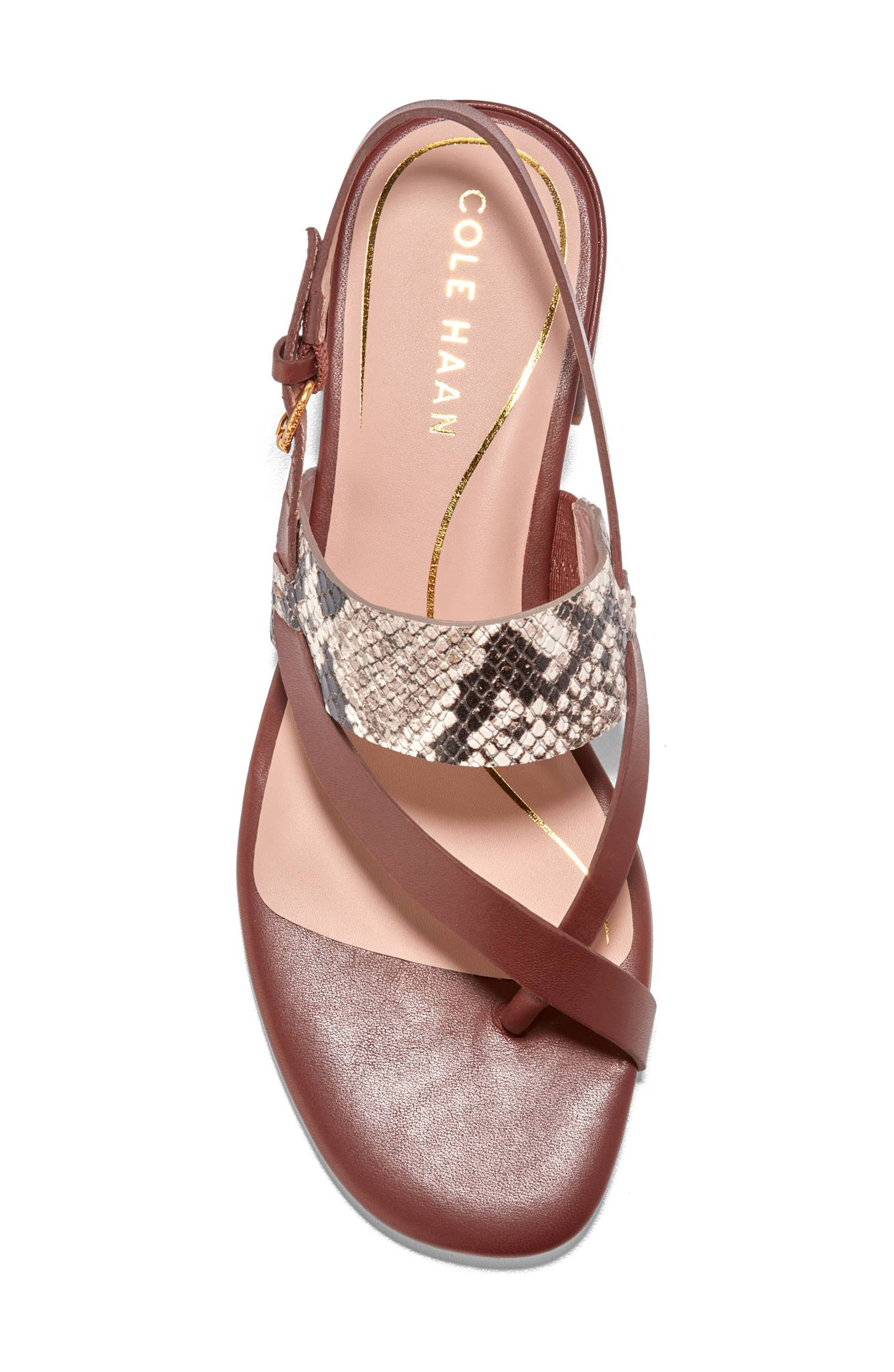 Anica Lux Slingback Sandal, Alternate, color, SANDOLLAR PRINT SOHO