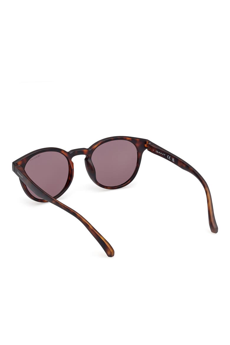 Oval Sunglasses, Alternate, color, DARK HAVANA / BROWN