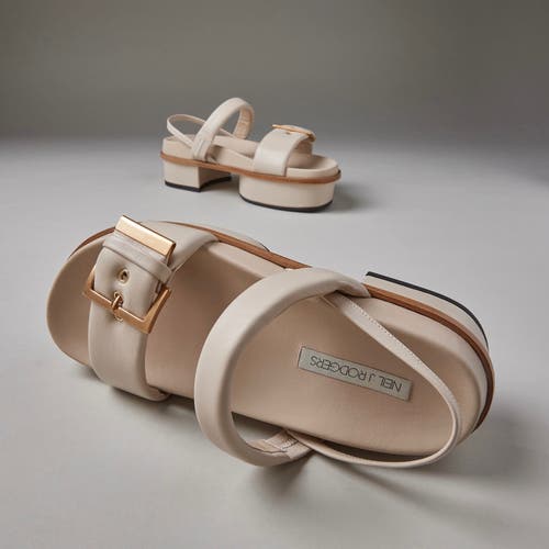 Neil J. Rodgers Eliza Platform