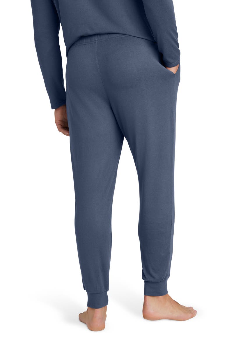 Cozy Pajama Joggers, Alternate, color, VINTAGE INDIGO