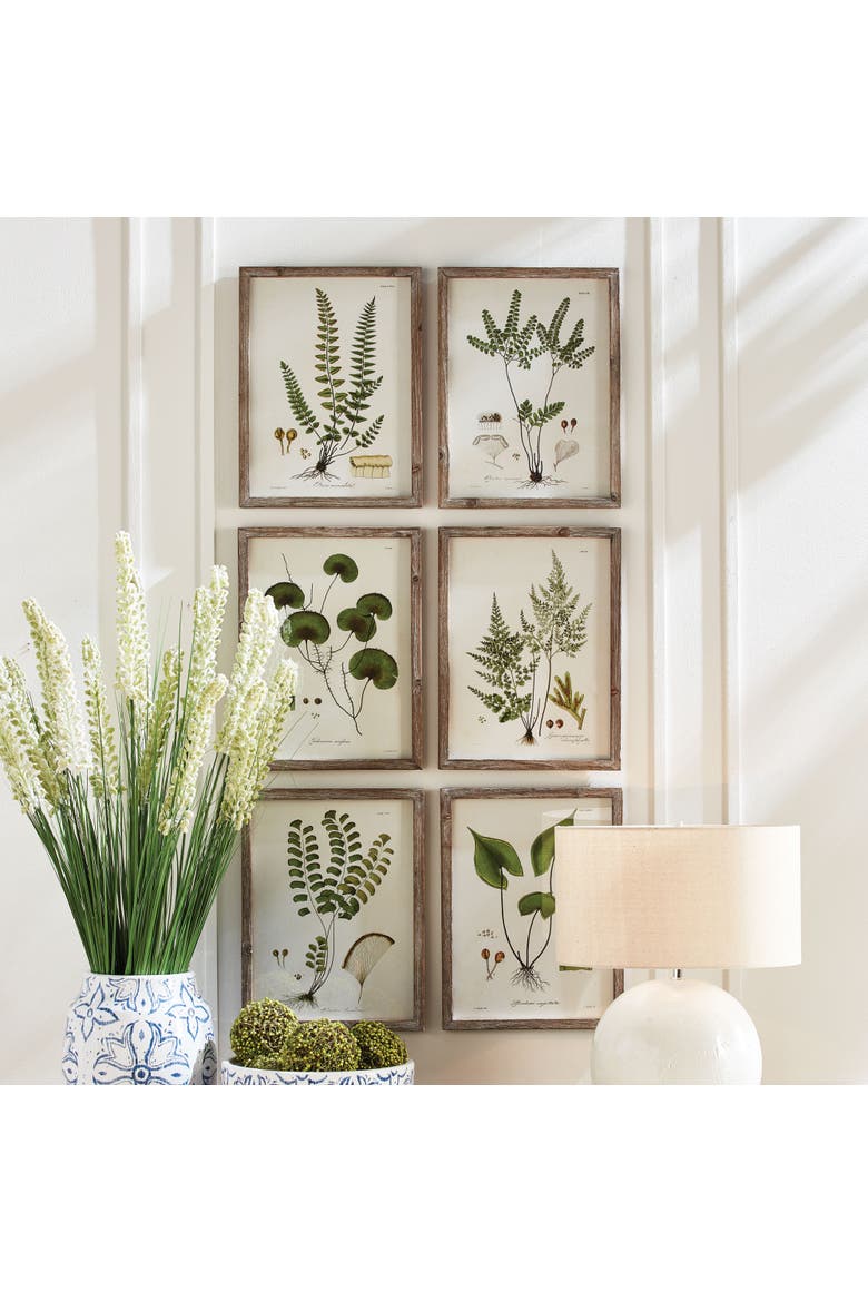 Shade Garden Study, Set Of 6, Alternate, color, Green
