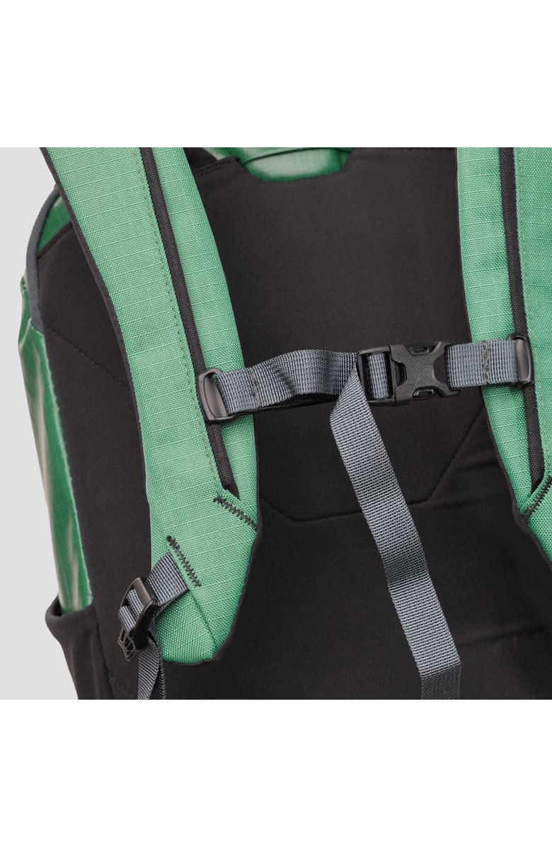 Backcountry Destination 20L Backpack, Alternate, color, Gearhead Green