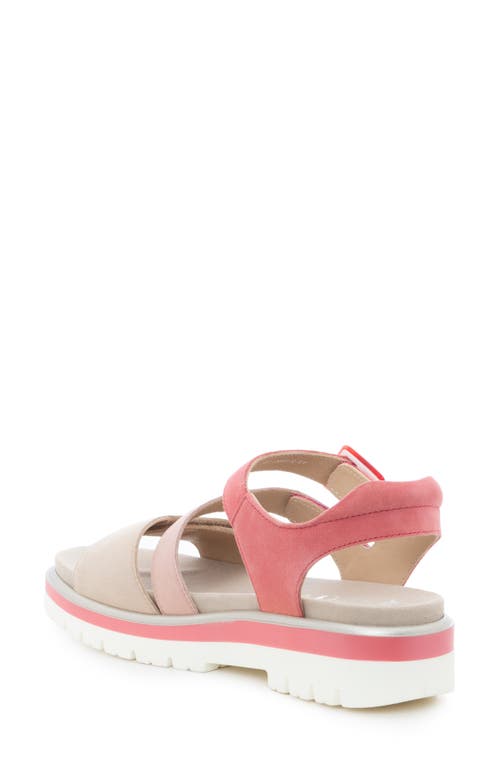 Ara Maldives Sandal In Shelll/piggy Pink/doll Pink