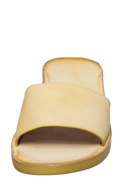 Antelope Adica Slide Sandal In Yellow