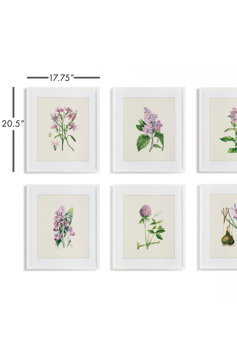 Napa Home & Garden Flower Study Prints Set of 6, Alternate, color, Purple