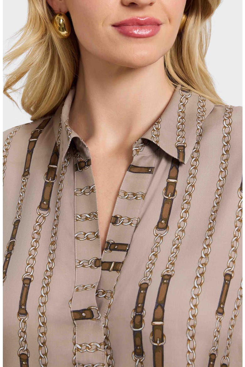 Frankie Chain Stripe Popover Top, Alternate, color, BROWN MULTI