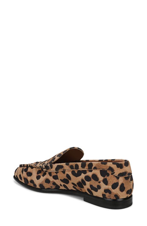 Sarto By Franco Sarto Lainey Loafer In Brown