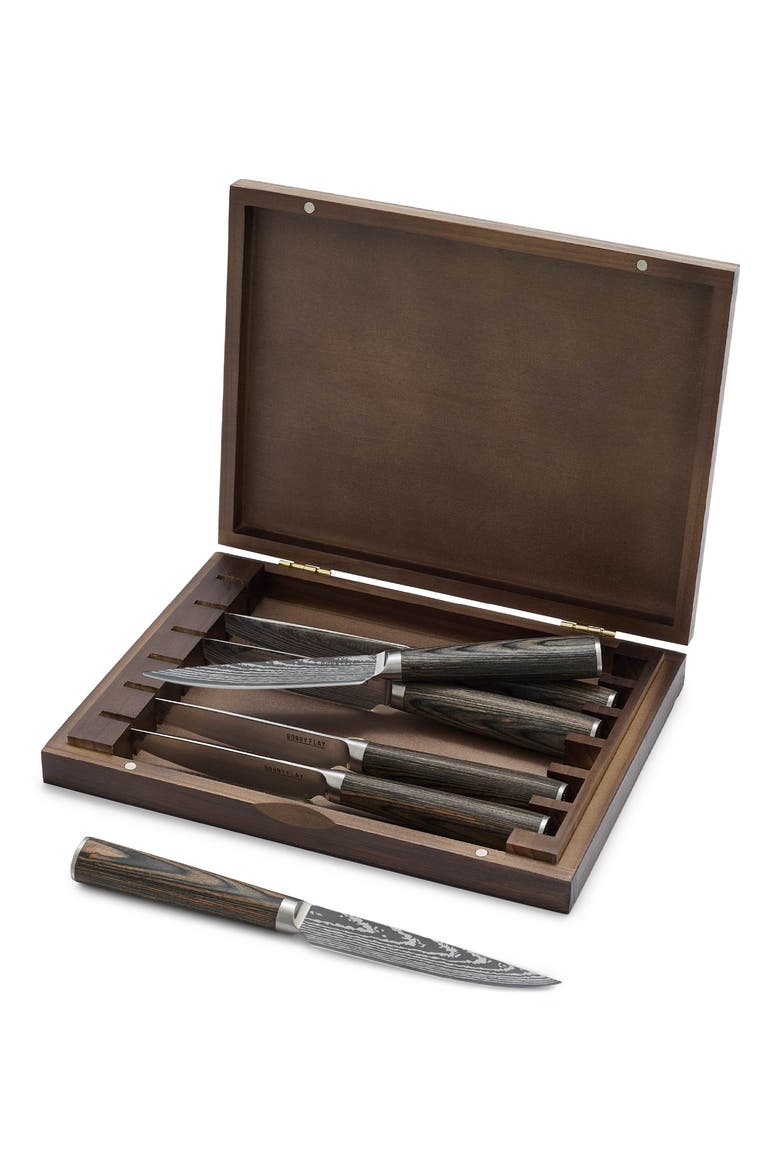 x Bobby Flay Stainless Steel 6-Piece Steak Knife Set, Main, color, BROWN