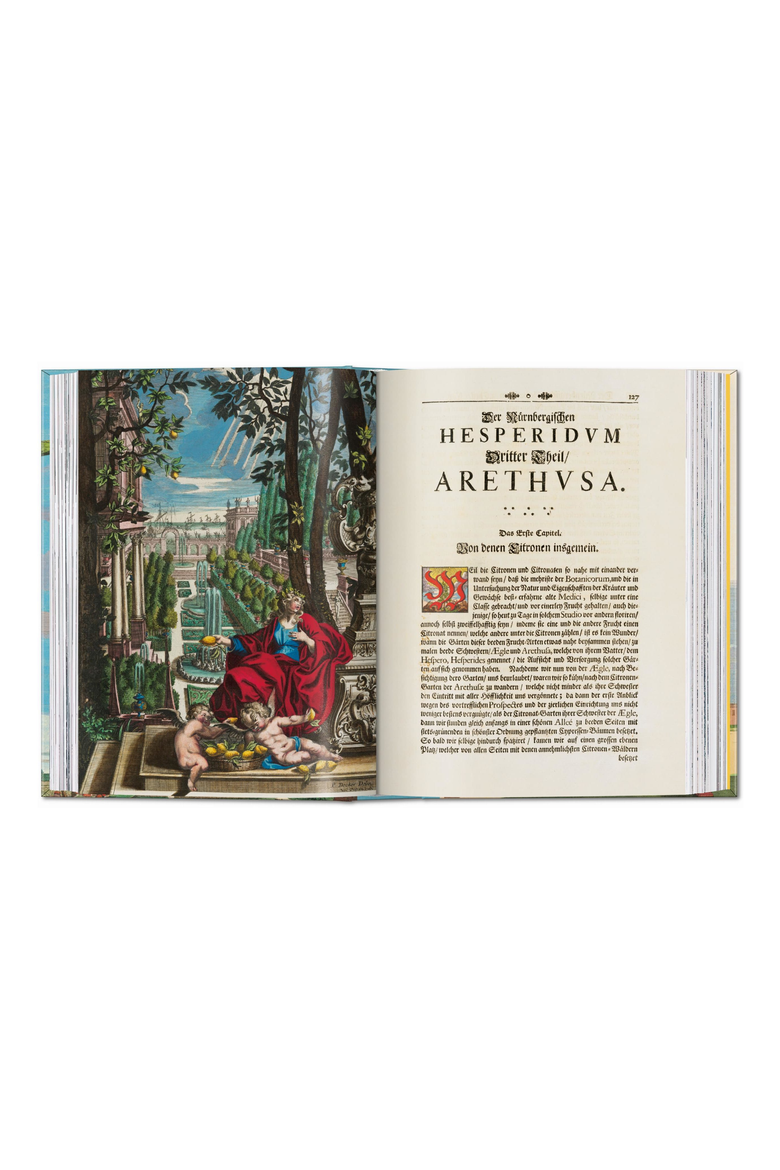 J C Volkamer The Book of Citrus Fruits 45th ed English French German Book, Alternate, color, Orange