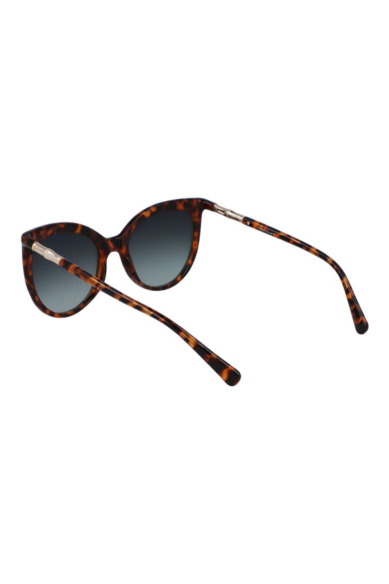 Roseau 53mm Gradient Cat Eye Sunglasses, Alternate, color, HAVANA