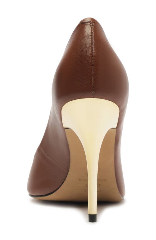 Arezzo Emily Pointed Toe Pump In Brown
