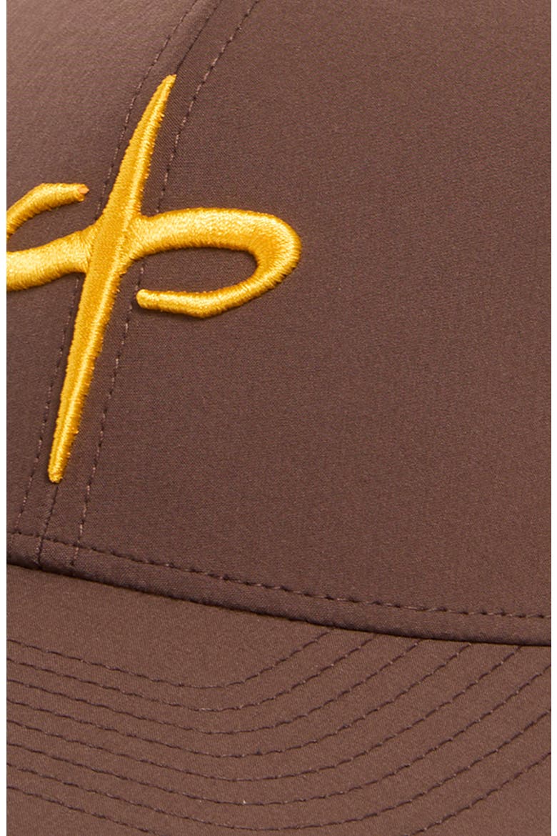 x Cole Houshmand Snapback Baseball Hat, Alternate, color, BROWN