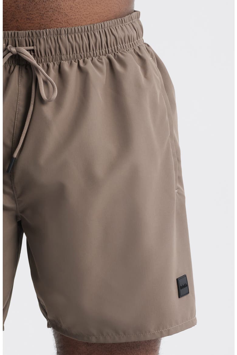 Dive Swim Trunks, Alternate, color, MEDIUM BROWN