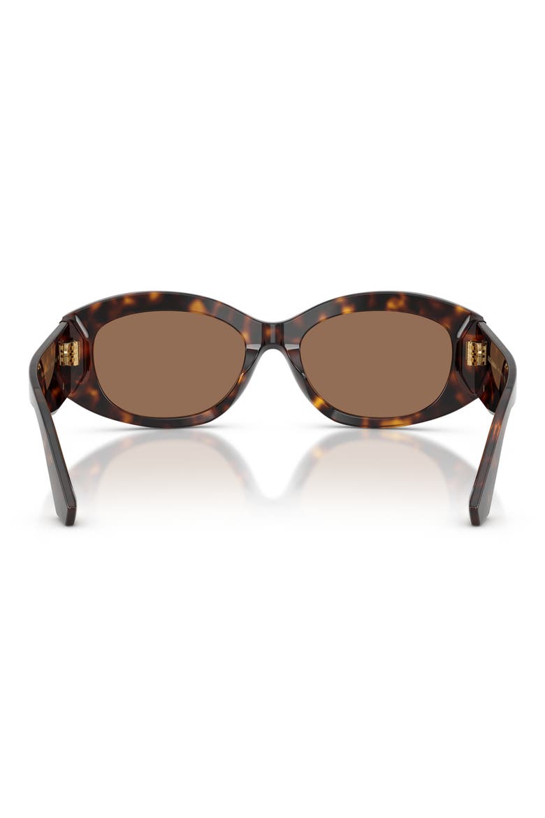 55mm Oval Sunglasses, Alternate, color, HAVANA / DARK BROWN
