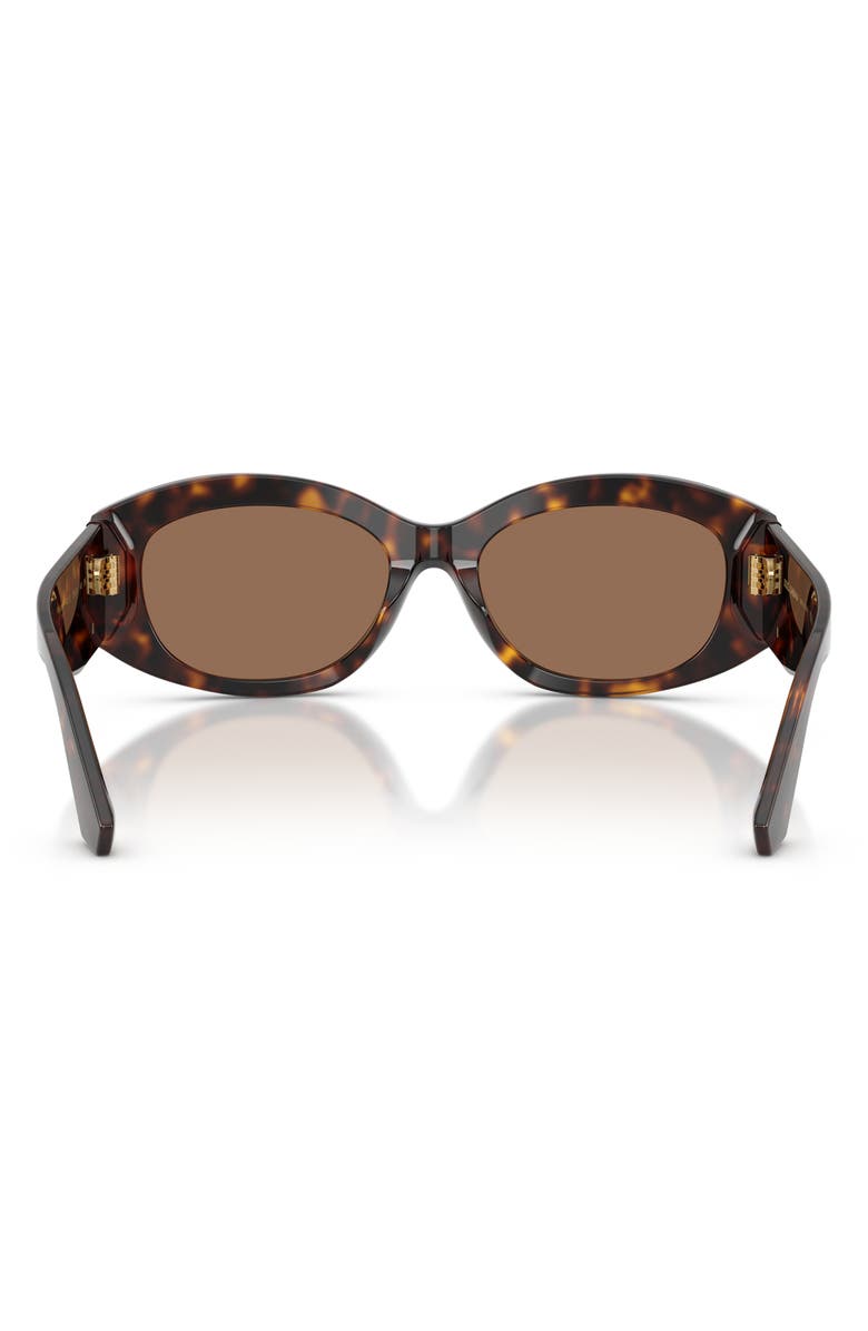 Dolce&Gabbana 55mm Oval Sunglasses, Alternate, color, Havana / Dark Brown