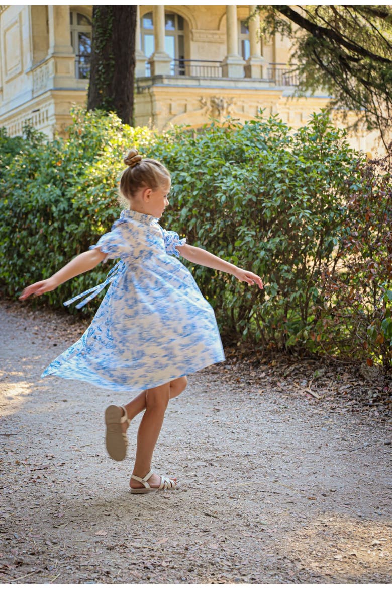 Aoki Blue Toile Dress, Alternate, color, Blue Toile