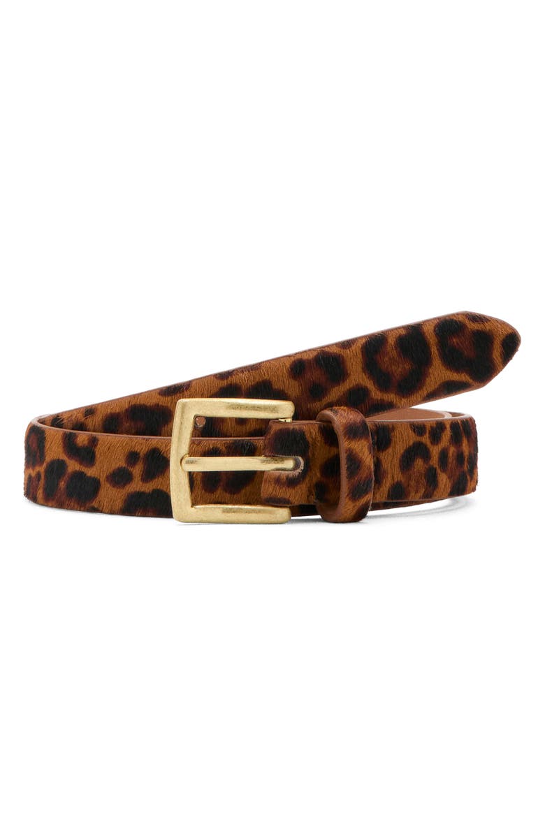 MANGO Leopard Print Calf Hair Belt, Main, color, Brown