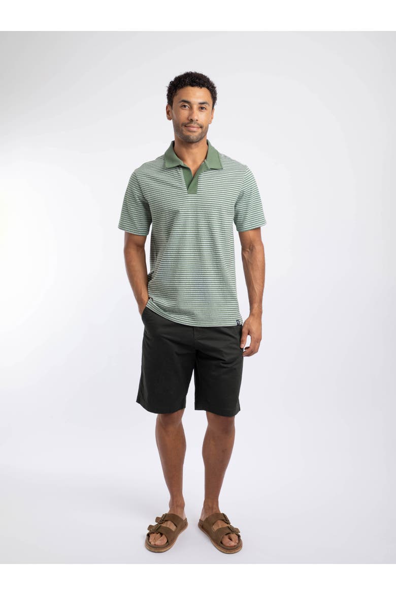 Virgil Short Sleeve Polo Shirt, Alternate, color, Woodland Sage