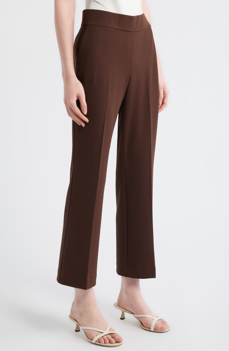 AK ANNE KLEIN Pull-On Ankle Pants, Alternate, color, Dark Chocolate