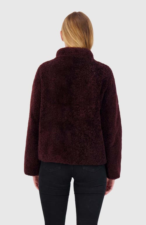 Gorski Cashmere Goat Shearling Jacket In Burgundy
