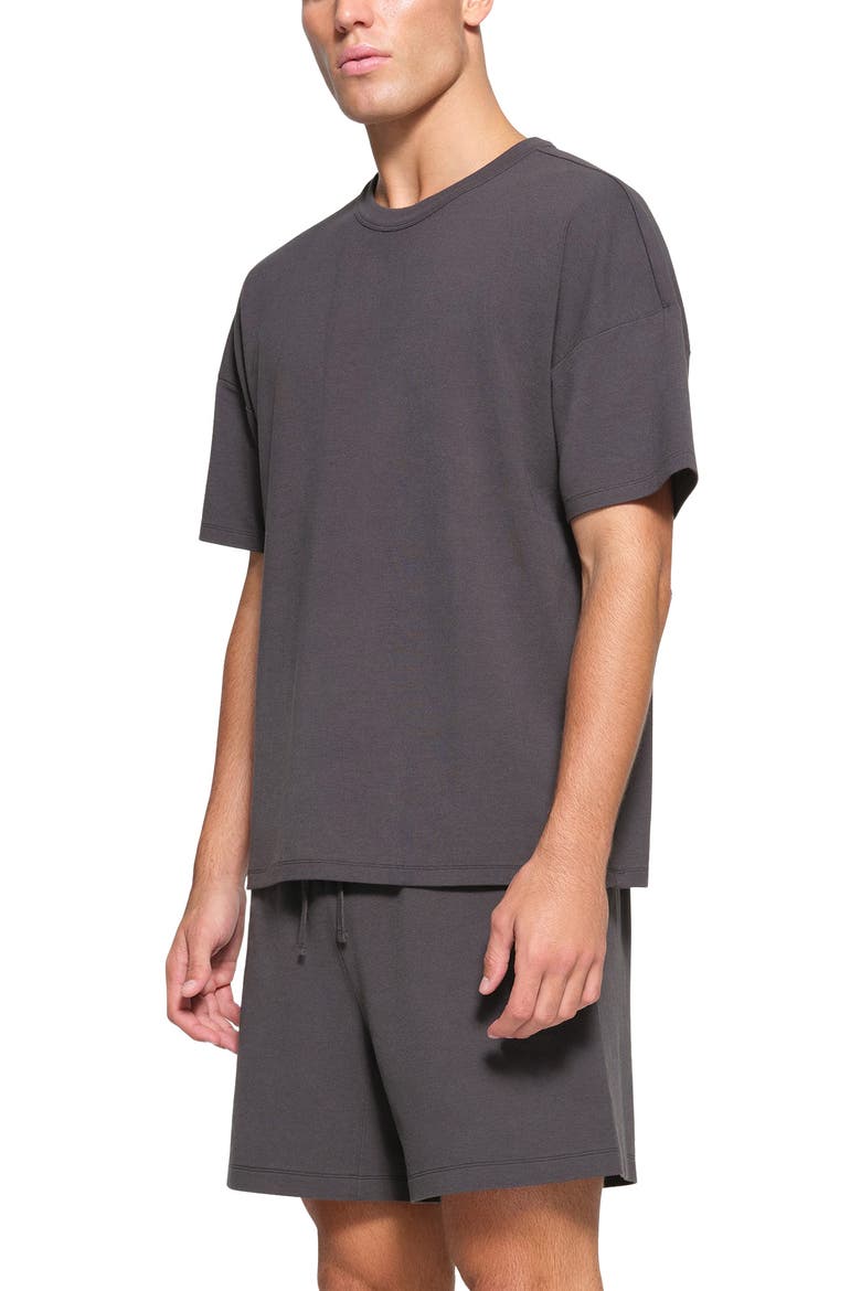 Oversize T-Shirt, Alternate, color, ASH