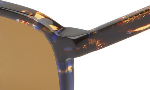 Eyebobs Nomad 50mm Square Polarized Sunglasses