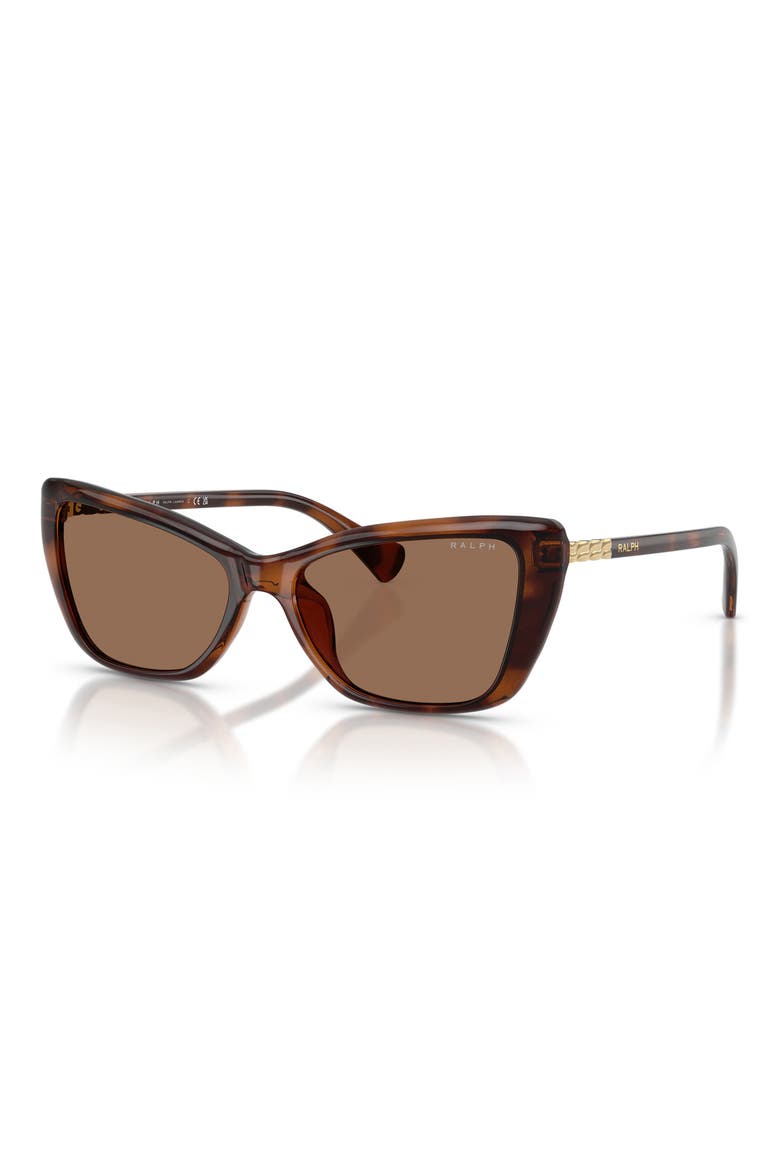 56mm Cat Eye Sunglasses, Alternate, color, SHINY DARK HAVANA / BROWN