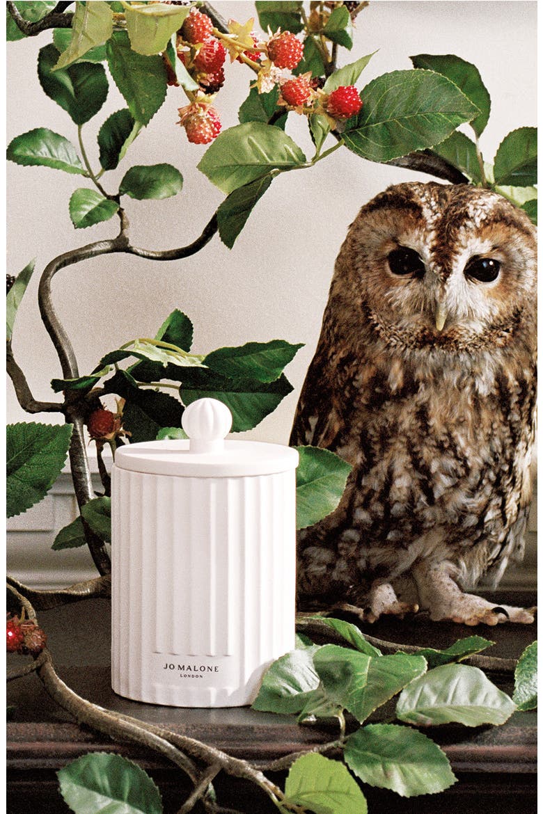 Wild Berry & Bramble Scented Candle, Alternate, color, NO COLOR