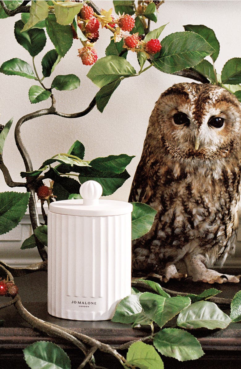 Jo Malone London<sup
™</sup
 Wild Berry 
Bramble Scented Candle, Alternate, color, 