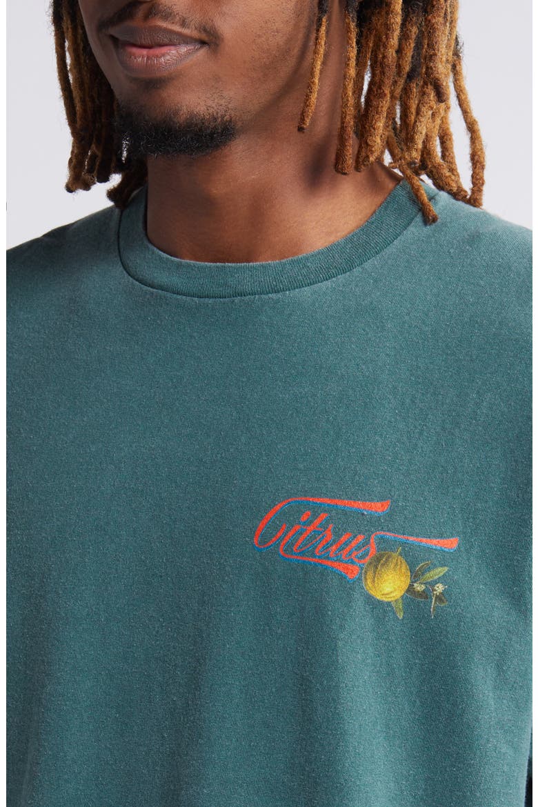 Pomelo Graphic T-Shirt, Alternate, color, DARK GREEN