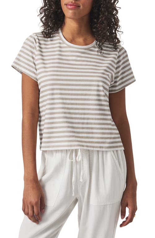 Splendid Louisa Stripe T-shirt In Fawn Stripe