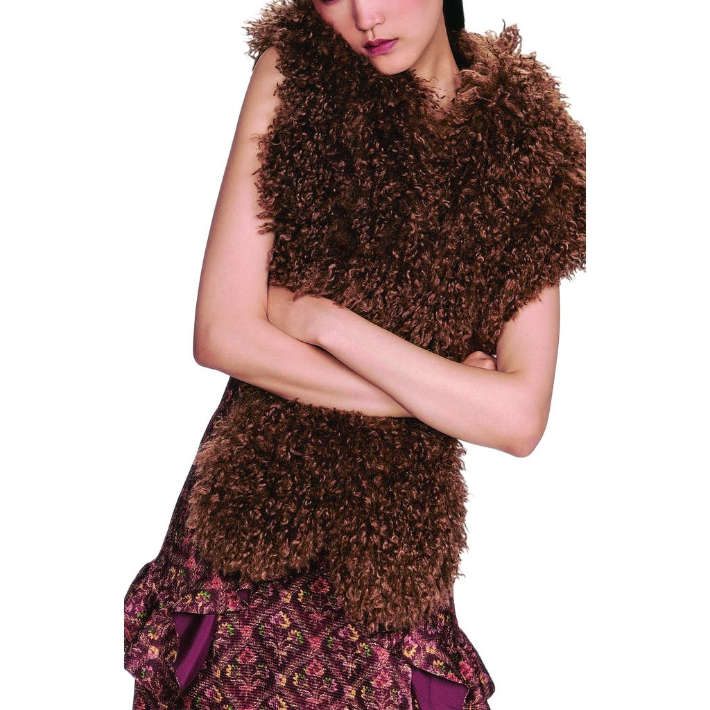 Anna Sui Faux Fur Scarf In Brown