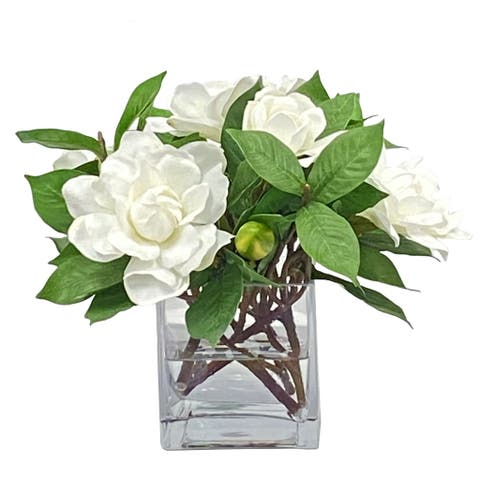 Gardenia Jubilation In Cube