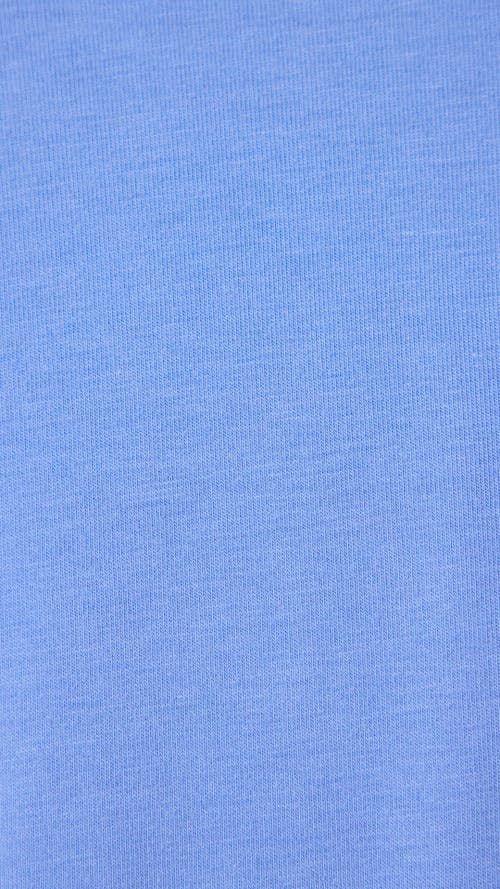 The Cat's Pajamas Pima Knit Short Pajama Set In Blue