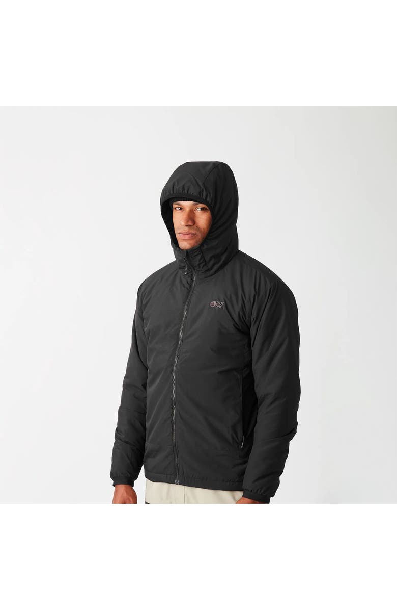 Picture Organic Lanin Hooded Jacket - Men's, Alternate, color, Black