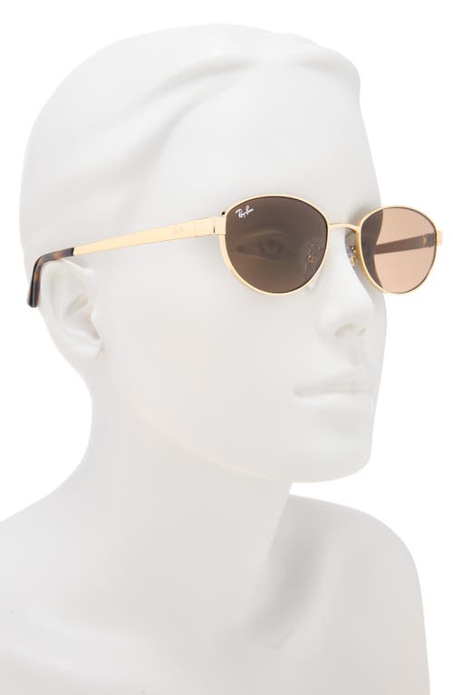 Ray Ban Ray-ban 55mm Oval Sunglasses In Neutral