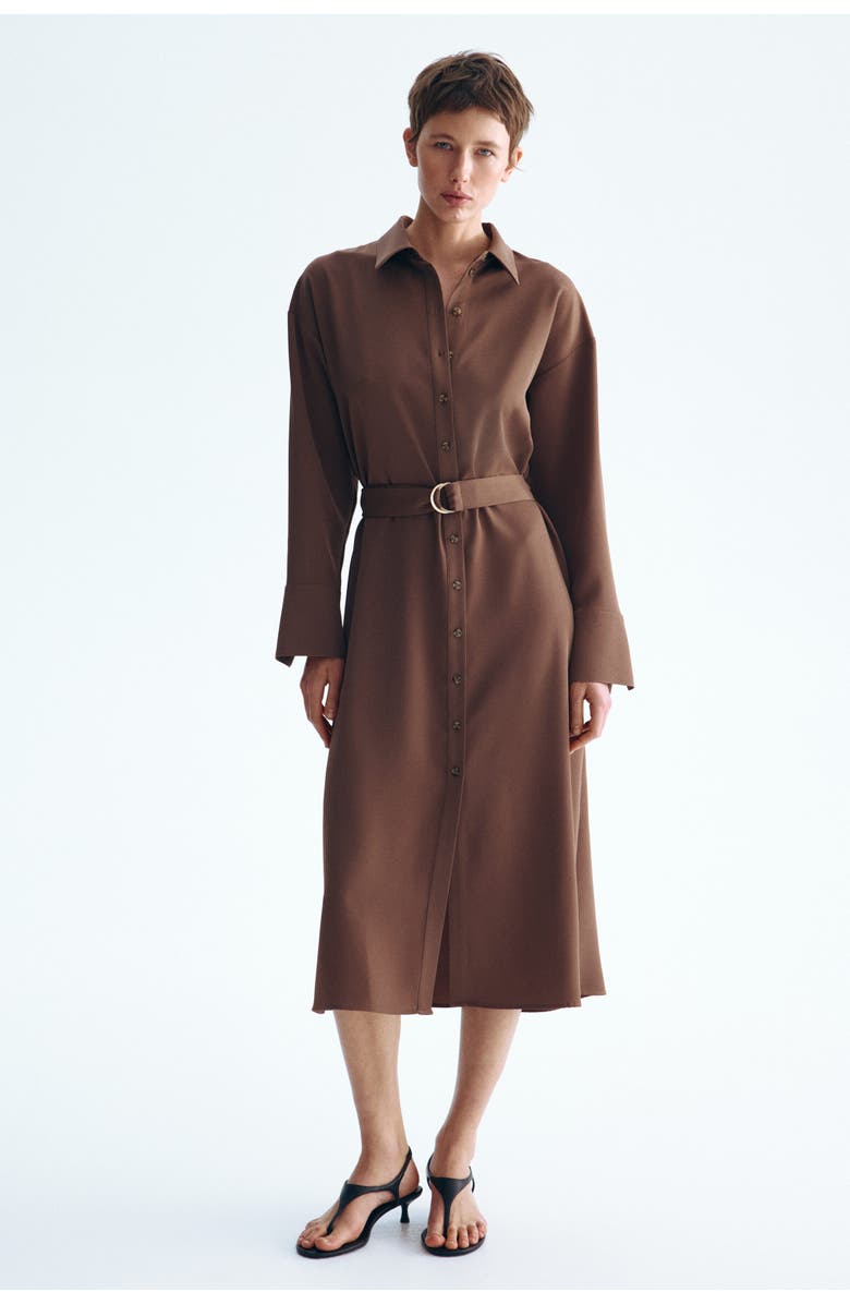 H&M Belted Shirt Dress, Alternate, color, Brown
