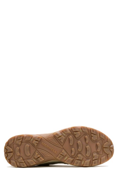 Merrell Tempo Sol Hiking Sneaker In Dark Moss