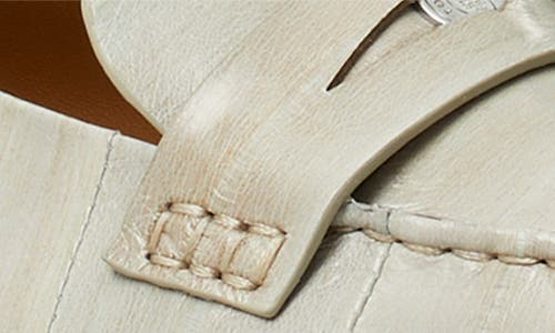 Tory Burch Classic Penny Loafer In Multi