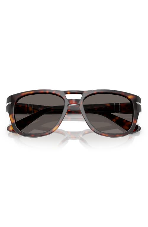 Persol 55mm Square Sunglasses In Havana