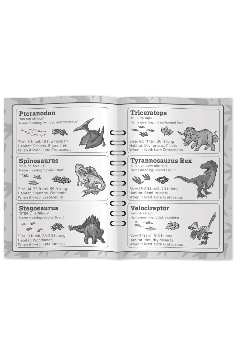 Dinosaur World Dino Tracks Card Game, Alternate, color, Multicolor