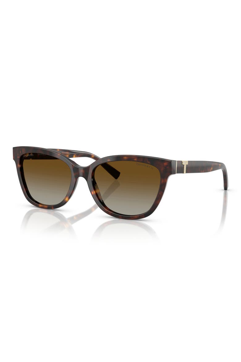 55mm Polarized Gradient Cat Eye Sunglasses, Alternate, color, HAVANA/ POLAR BROWN GRADIENT