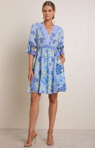 Hale Bob Tara Chiffon Dress