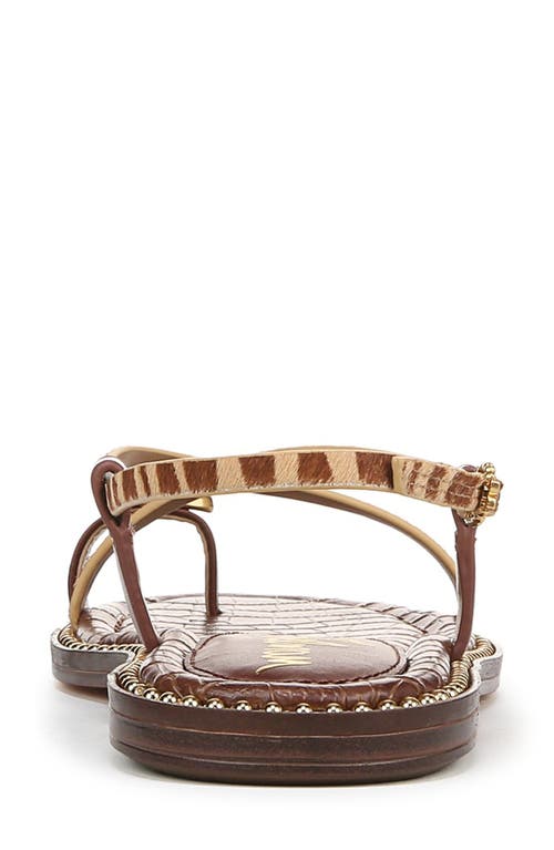 Shop Sam Edelman Tenly Toe Loop Sandal In Beechwood Multi Calf Hair