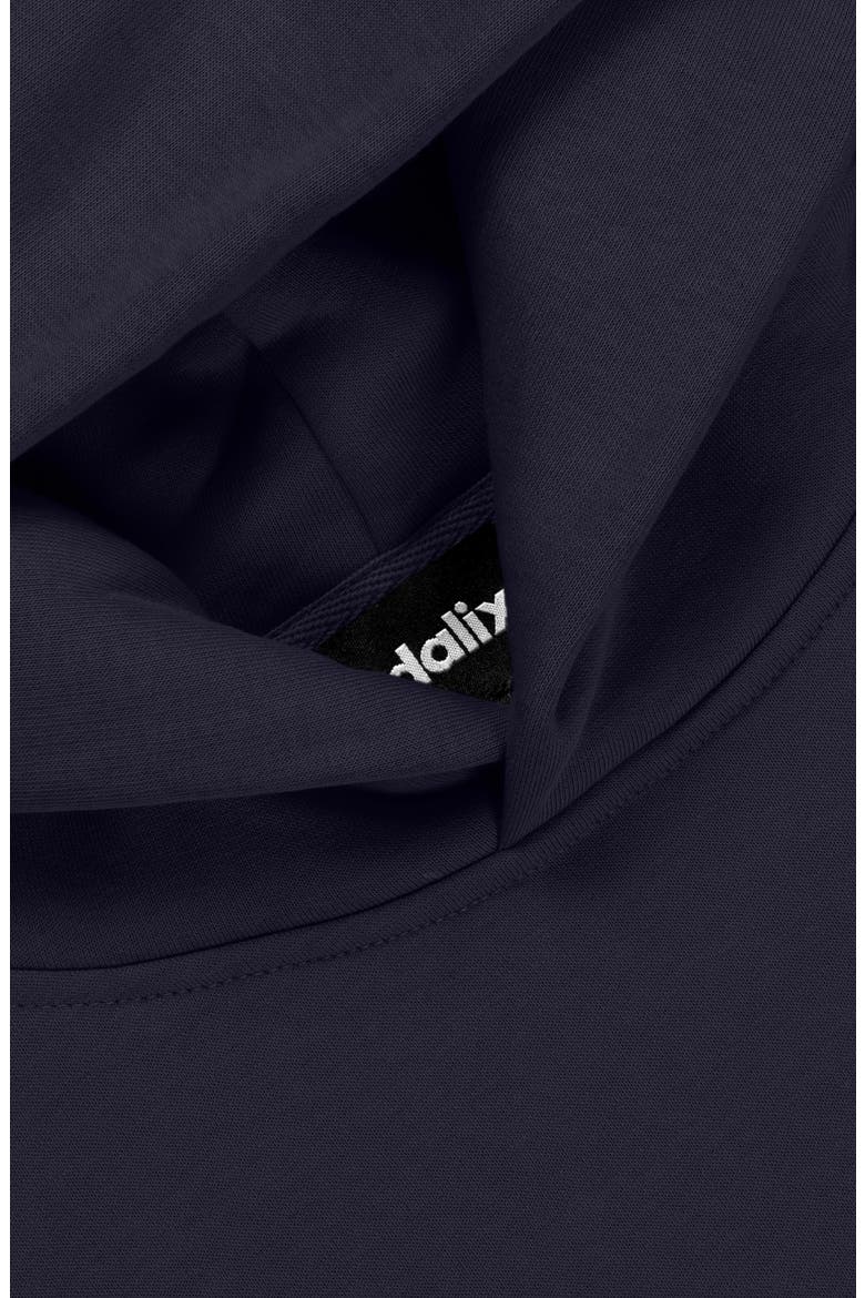 Astronaut Relaxed Midweight Fleece Pullover Hoodie, Alternate, color, Ink Blue