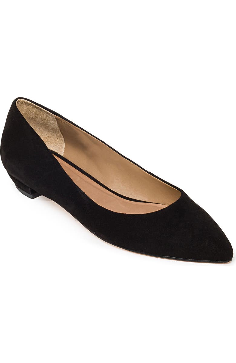 Bernardo Footwear Fritz Pointed Toe Flat, Main, color,