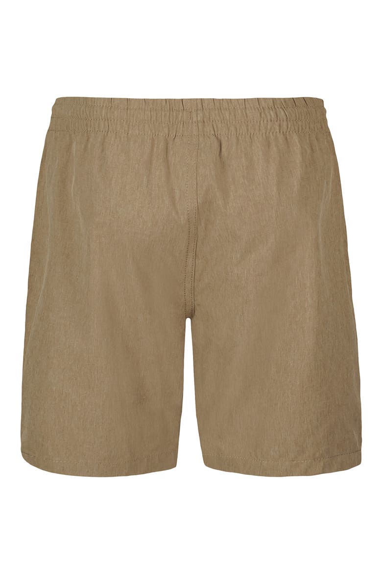 Kids' Eddie Hybrid Shorts, Alternate, color, SENECA ROCK HEATHER