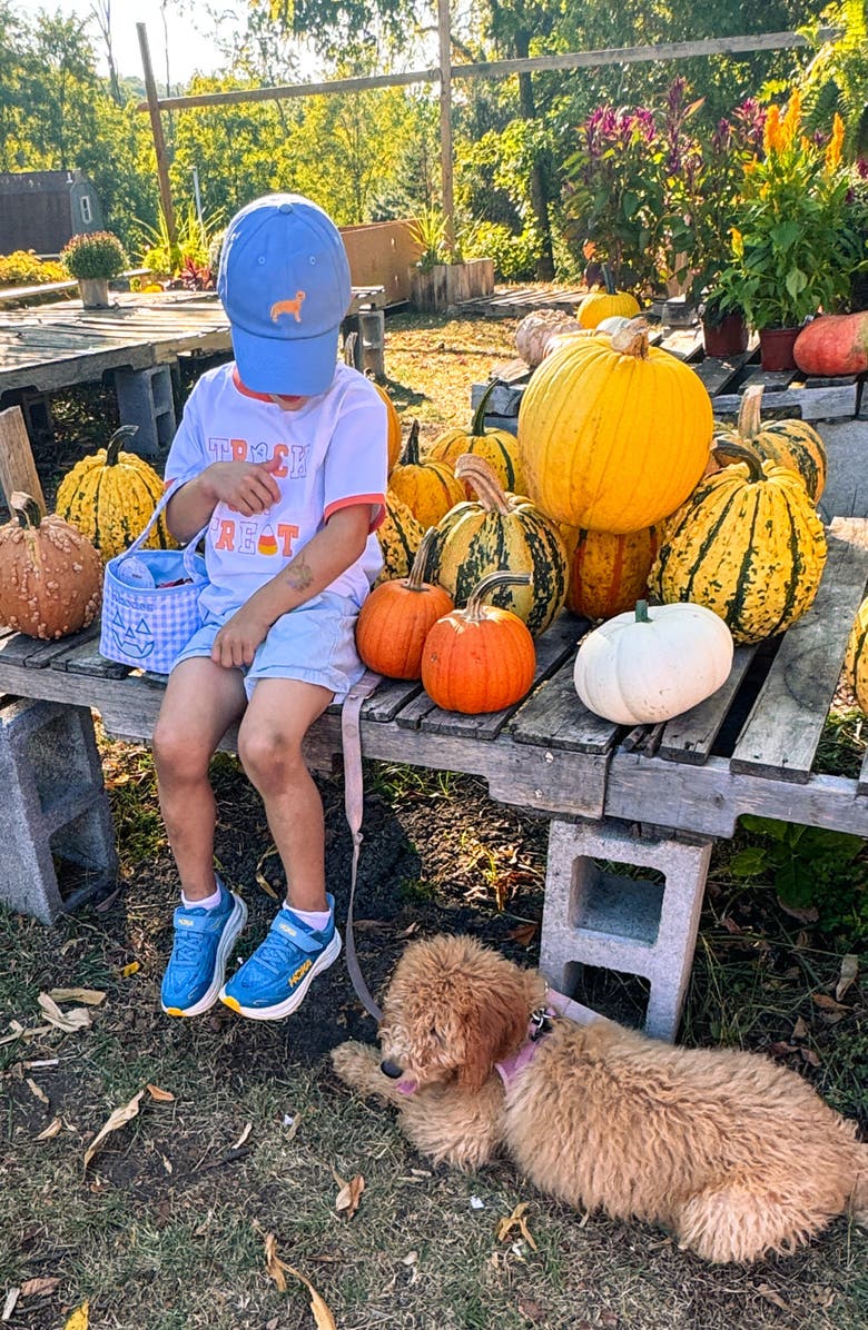 Bits & Bows Retriever Dog Twill Baseball Hat, Alternate, color, Blue