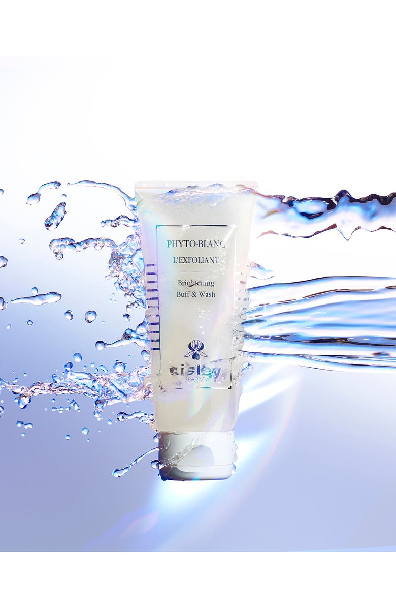 Sisley Paris Phyto-Blanc Brightening Buff & Wash Cleanser, Alternate, color, 